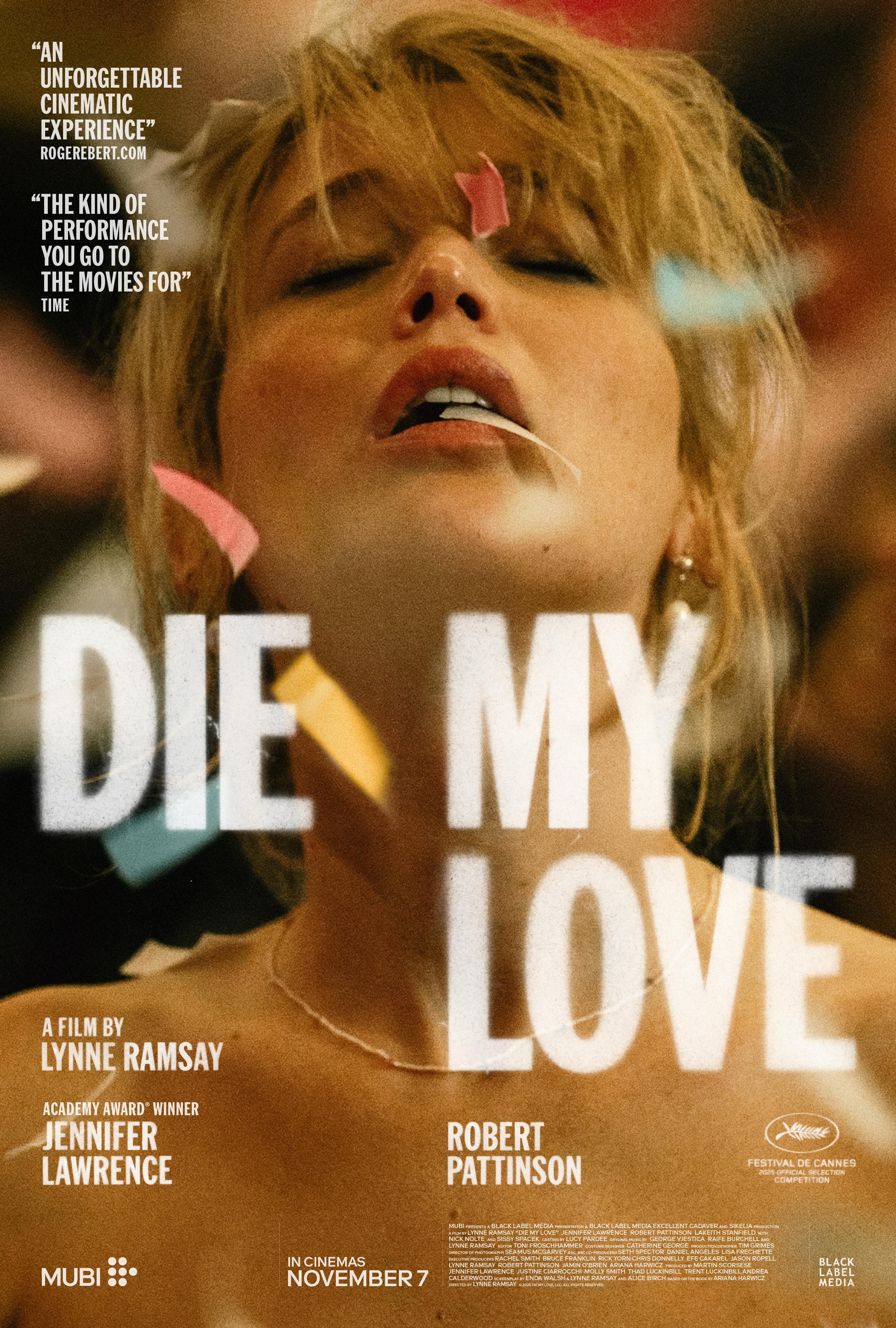 Poster of Die My Love
